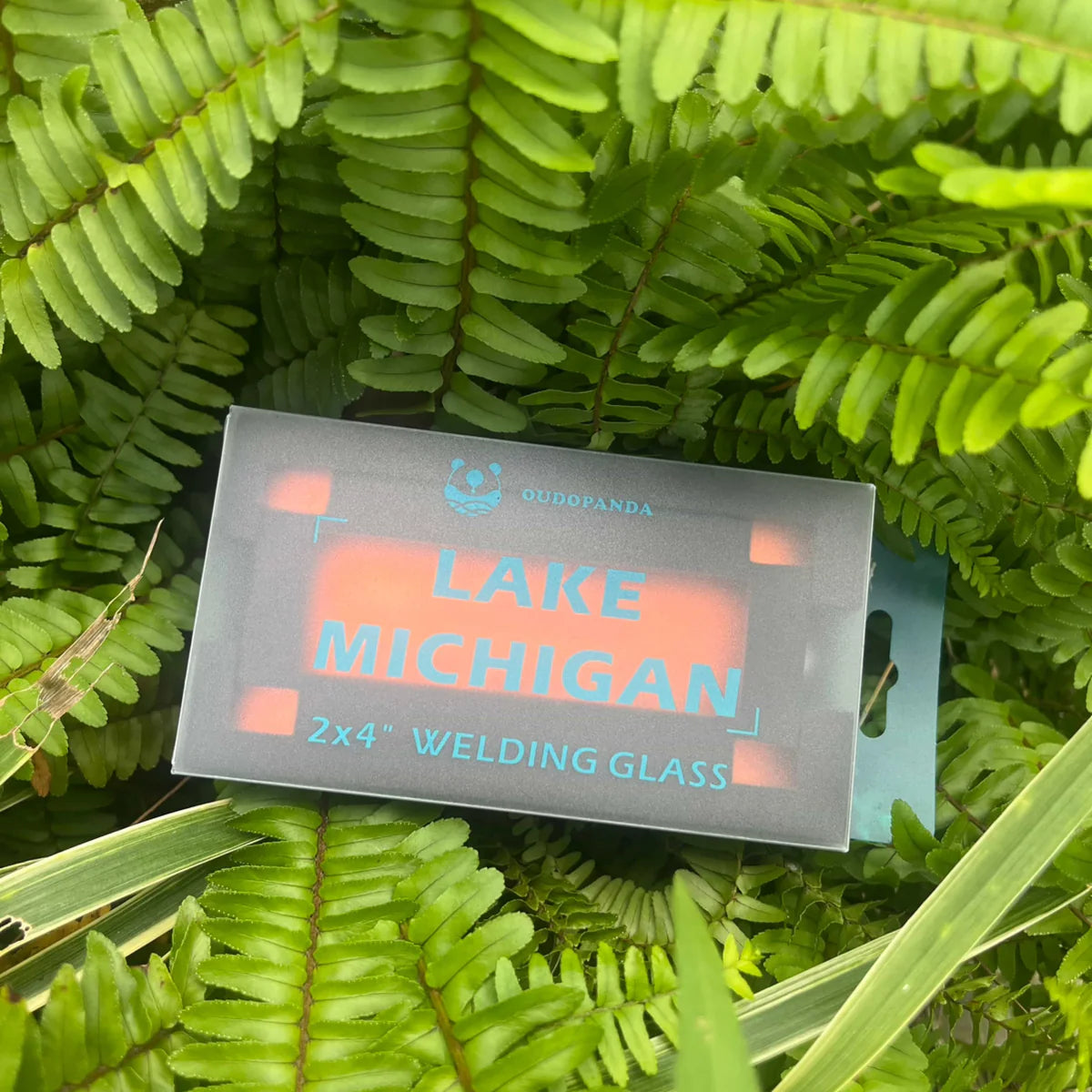 Oudopanda Lake Michigan Welding Lens