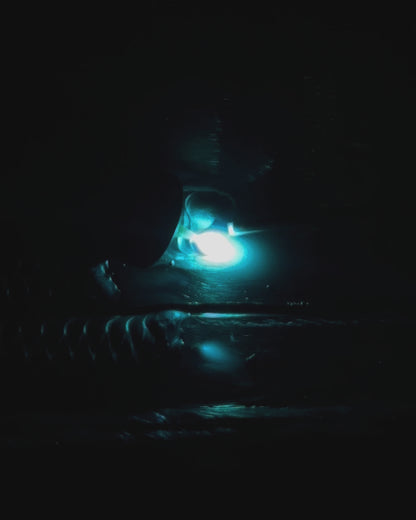 TX LONE STAR - Tx Made Fixed lens